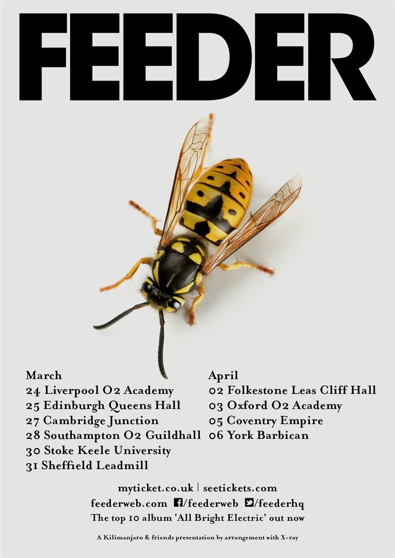 Feeder