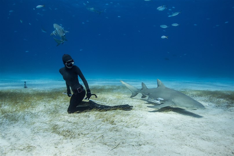 Ocean Film Festival World Tour
