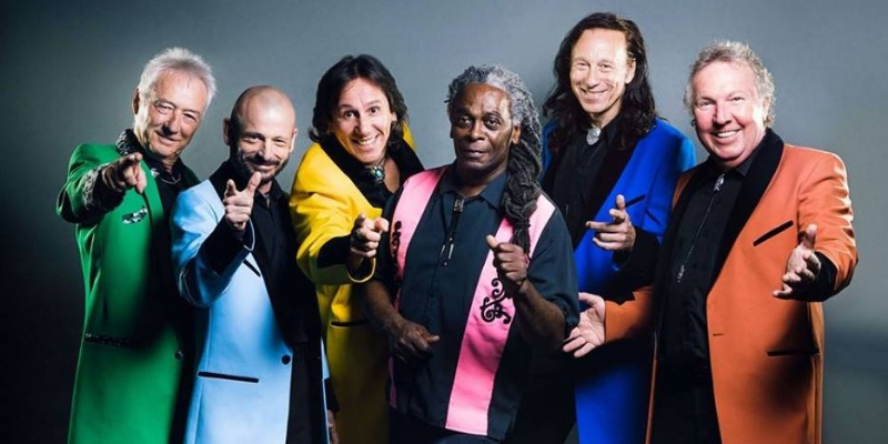 Showaddywaddy